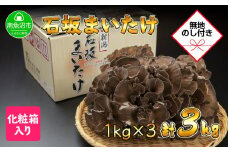【無地のし】 新潟県 南魚沼産 厳選 国産 石坂 高級  まいたけ 産地直送 1kg ×3箱 計3kg 贈り物 ギフト お中元 お歳暮 石坂きのこ