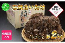 【無地のし】 新潟県 南魚沼産 厳選 国産 石坂 高級 舞茸 まいたけ 産地直送 1kg ×2箱 計2kg 贈り物 ギフト お中元 お歳暮 石坂きのこ