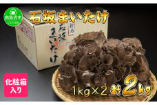 新潟県 南魚沼産 厳選 国産 石坂 高級 舞茸 まいたけ 産地直送 1kg ×2箱 計2kg 石坂きのこ