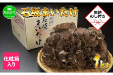 【無地のし】 新潟県 南魚沼産 厳選 国産 石坂 高級 舞茸 まいたけ 産地直送 1kg 贈り物 ギフト お中元 お歳暮 石坂きのこ