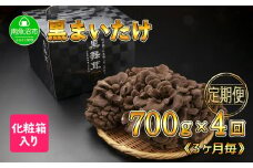 【定期便 全4回】 新潟県 南魚沼産 厳選 国産 黒 高級 舞茸 まいたけ 産地直送 700g 大平きのこ研究所