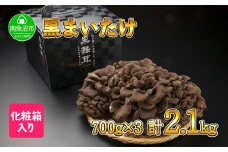 新潟県 南魚沼産 厳選 国産 黒 高級 舞茸 まいたけ 産地直送 700g ×3箱 計2.1kg