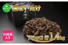 新潟県 南魚沼産 厳選 国産 黒 高級 舞茸 まいたけ 産地直送 700g ×2箱 計1.4kg
