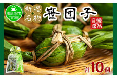 新潟県 南魚沼市 笹団子 10個 やまと食品 和菓子 お菓子 和スイーツ あんこ 新潟名物 お取り寄せ グルメ お中元 お歳暮 お土産 ギフト やまと食品