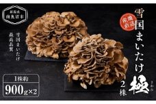雪国まいたけ　極　2株【1株約900ｇ×2】　これが雪国史上、最高傑作　長期熟成と大株仕立てが生み出す圧倒的なシャキシャキ感と旨味　雪国まいたけ最高品質　産地直送　
