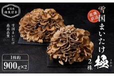 雪国まいたけ　極　2株【1株約900ｇ×2】　これが雪国史上、最高傑作　長期熟成と大株仕立てが生み出す圧倒的なシャキシャキ感と旨味　雪国まいたけ最高品質　産地直送　