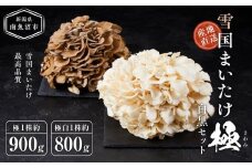 雪国まいたけ　極白黒セット【極 1株約900g　 極白 1株約800g】　これが雪国史上、最高傑作　長期熟成と大株仕立てが生み出す圧倒的なシャキシャキ感と旨味　雪国まいたけ最高品質　産地直送