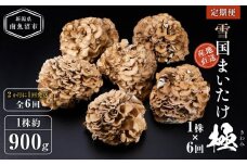 ＜定期便＞雪国まいたけ　極　1株×6回【1株約900g　2か月に1回発送/全6回】これが雪国史上、最高傑作　長期熟成と大株仕立てが生み出す圧倒的なシャキシャキ感と旨味　雪国まいたけ最高品質　産地直送