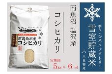 【令和７年産新米予約】【定期便5kg×6回】雪室貯蔵米 南魚沼塩沢産コシヒカリ　【2025年10月下旬より順次発送予定】