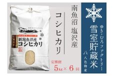 【令和７年産新米予約】【定期便5kg×6回】雪室貯蔵米 南魚沼塩沢産コシヒカリ　【2025年10月下旬より順次発送予定】