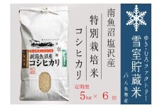 【令和７年産新米予約】特別栽培【定期便5kg×6回】 雪室貯蔵米 南魚沼塩沢産コシヒカリ【2025年10月下旬より順次発送予定】