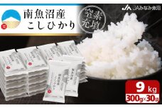 【令和7年産＼新米／】南魚沼産こしひかり「窒素充填2合パック×30袋入」美味しさ長持ち 300g 小袋 便利 精米HACCP認定工場 特A獲得日本一産地 高品質精米 もっちり甘い 南魚沼産コシヒカリ【2025年10月上旬から順次発送】