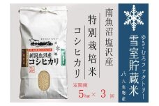 【令和７年産新米予約】特別栽培【定期便5kg×3回】 雪室貯蔵米 南魚沼塩沢産コシヒカリ【2025年10月下旬より順次発送予定】