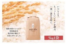 【令和7年産新米予約】【白米】令和7年度産 あまいずみ 南魚沼産コシヒカリ 5kg【2025年10月上旬より順次発送予定】