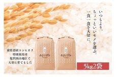 【令和7年産新米予約】【白米】令和7年度産 あまいずみ 南魚沼産コシヒカリ 5kg×2袋【2025年10月上旬より順次発送予定】