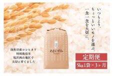 【定期便　令和7年産新米予約】【白米】令和7年度産 あまいずみ 南魚沼産コシヒカリ 5kg×3ヶ月【2025年10月上旬より順次発送予定】