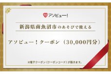 【南魚沼市】アソビュー！ふるさと納税クーポン（30,000円分）