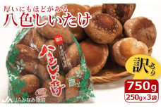 【家庭用】厚いにもほどがある「八色しいたけ」750g（250g×3袋）訳あり 不ぞろい 農家応援