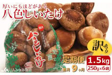 【JAみなみ魚沼定期便】家庭用「八色しいたけ」（1.5kg×全9回） 訳あり 不ぞろい 農家応援 厚いにもほどがある