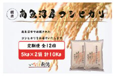 【令和7年産】【定期配送】南魚沼産コシヒカリ 白米 5kg×2袋(10kg) 全12回【2025年10月上旬より順次発送予定】