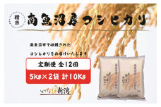 【令和7年産】【定期配送】南魚沼産コシヒカリ 白米 5kg×2袋(10kg) 全12回【2025年10月上旬より順次発送予定】