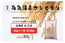 【令和7年産】【定期配送】南魚沼産コシヒカリ 白米 5kg 全12回【2025年10月上旬より順次発送予定】