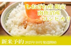 【新米予約・令和7年産】定期便６ヶ月：精米2kgしおざわ産限定 南魚沼産コシヒカリ【2025年10月上旬より順次発送予定】