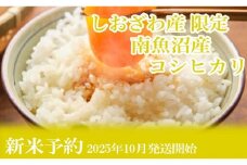 【新米予約・令和7年産】定期便12ヶ月：精米10kgしおざわ産限定 南魚沼産コシヒカリ【2025年10月上旬より順次発送予定】