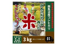 【特別栽培米】【令和6年産】　がんこおやじが作った南魚沼産コシヒカリ 白米３kg