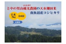 【令和7年産新米予約】【定期便】とやの里山越光農園「天水棚田米」南魚沼塩沢産コシヒカリ　精米5kgx全6回【2025年12月下旬より順次発送予定】