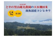【令和7年産新米予約】とやの里山越光農園「天水棚田米」南魚沼塩沢産コシヒカリ　精米5kgx全1回【2025年12月下旬より順次発送予定】