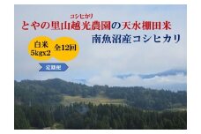 【令和7年産新米予約】【定期便】とやの里山越光農園「天水棚田米」南魚沼塩沢産コシヒカリ　精米10kg(5kgx2)x全12回【2025年12月下旬より順次発送予定】