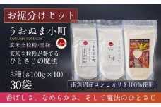 米粉の最高峰　品質・高性能米粉3種　お裾分けセット　うおぬま町・うおぬま小町 雪縁（ゆかり）・玄米が奏でるひとさじの魔法 各100g 10セット