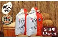 【新米予約】令和７年産「五つ星お米マイスター」の南魚沼産新之助　精米10kg（５kg×２個）×６回（毎月定期便）【2025年10月下旬より順次発送予定】
