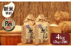 【新米予約】令和７年産「五つ星お米マイスター」の南魚沼産コシヒカリ　精米４kg（２kg×２個）【2025年10月上旬より順次発送予定】