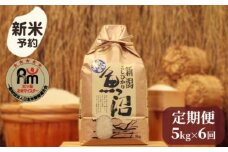 【新米予約】令和７年産「五つ星お米マイスター」の南魚沼産コシヒカリ　精米5kg×６回（毎月定期便）【2025年10月上旬より順次発送予定】