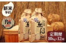 【新米予約】令和７年産「五つ星お米マイスター」の南魚沼産コシヒカリ　精米10kg（５kg×２個）×12回（毎月定期便）【2025年10月上旬より順次発送予定】