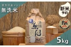 【新米予約】令和７年産「五つ星お米マイスター」の南魚沼産コシヒカリ　無洗米５kg【2025年10月上旬より順次発送予定】
