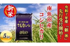 【令和7年産新米先行予約】南魚沼産コシヒカリ5kg【2025年10月下旬より順次発送予定】