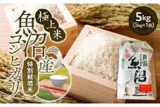 【令和7年産新米予約】極上米魚沼産コシヒカリ特別栽培米５kg【2025年10月上旬より順次発送予定】