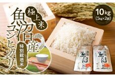 【令和7年産新米予約】極上米魚沼産コシヒカリ特別栽培米１０kg(５kg×２)【2025年10月上旬より順次発送予定】
