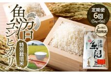 【令和7年産新米予約】定期便６回！！魚沼コシヒカリ特別栽培米５kg×６回（２カ月に１回発送）【2025年10月上旬より順次発送予定】