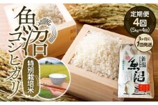 【令和7年産新米予約】定期便４回！！魚沼コシヒカリ特別栽培米５kg×４回（３カ月に１回発送）【2025年10月上旬より順次発送予定】