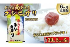 【令和7年産新米予約】【A-6定期便】南魚沼産コシヒカリ5kg×6回【2025年11月中旬より順次発送予定】