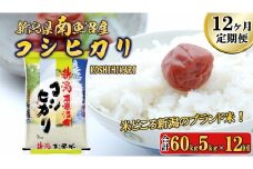 【令和7年産新米予約】【A-12定期便】南魚沼産コシヒカリ5kg×12回【2025年11月中旬より順次発送予定】