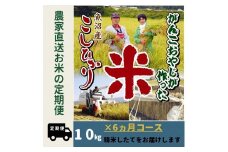 【令和７年産新米予約】6か月定期便　がんこおやじが作った南魚沼産コシヒカリ白米10kg（5kg×2袋）【2025年10月20日頃より順次発送予定】