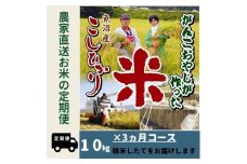 【令和７年産新米予約】３か月定期便　がんこおやじが作った南魚沼産コシヒカリ白米１０kg（５kg×２袋）【2025年10月20日頃より順次発送予定】
