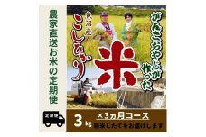 【令和７年産新米予約】３か月定期便　がんこおやじが作った南魚沼産コシヒカリ白米３kg【2025年10月20日頃より順次発送予定】