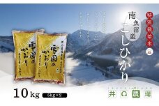 【令和6年産】南魚沼産コシヒカリ10kg 井口農場こだわりの 特別栽培米