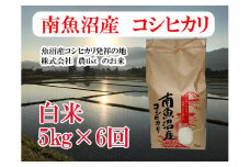 【令和7年産】【定期便 南魚沼産】コシヒカリ 白米5kg×6回【2025年9月中旬より順次発送予定】